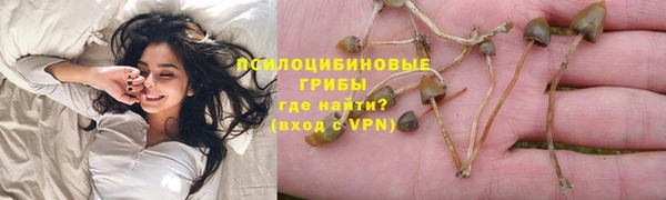 Альфа ПВП Беломорск