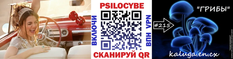 kraken ССЫЛКА Острогожск Псилоцибиновые грибы мухоморы
